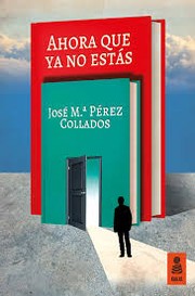 Cover of: Ahora que ya no estás