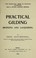 Cover of: Practical gilding, bonzing and lacquering