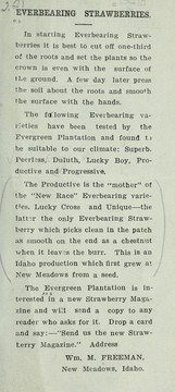 Cover of: Everbearing strawberries by Wm. M. Freeman (Firm)