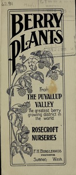 Cover of: Berry plants from the Puyallup Valley: the greatest berry growing district in the world