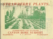 Cover of: Strawberry plants | Canyon Home Nursery