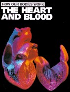 Cover of: The heart and blood