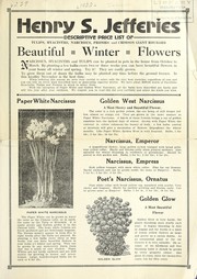 Cover of: Descriptive price list of tulips, hyacinths, narcissus, peonies and crimson giant rhubarb