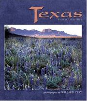 Cover of: Texas Wild And Beautiful