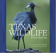 Cover of: Texas wildlife portfolio