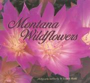 Cover of: Montana Wildflowers by D. Blank