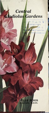 Cover of: Central Gladiolus Gardens [catalog] by Jelle Roos (Firm)