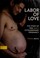 Cover of: Labor of love