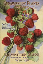 Strawberry plants that grow by C.E. Whitten's Nurseries