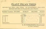 Plant pecan trees by G.H. Tomlinson (Firm)