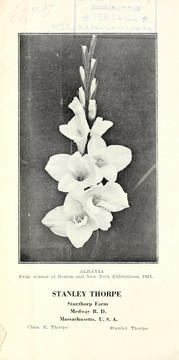 The gladiolus by Stanley Thorpe (Firm)