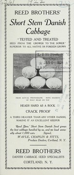 Cover of: Reed Brothers' short stem Danish cabbage: tested and treated