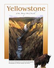 Cover of: Yellowstone on My Mind (On My Mind Series)