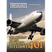 Cover of: The mystery of the ghosts of Flight 401