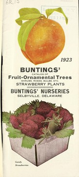 Buntings' catalog of fruit-ornamental trees, shrubs, roses, bulbs, etc., strawberry plants by Buntings' Nurseries