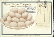 Cover of: The pecan and its culture