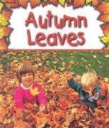 Autumn leaves by Gail Saunders-Smith