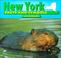 Cover of: New York facts and symbols