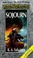 Cover of: Sojourn by R. A. Salvatore