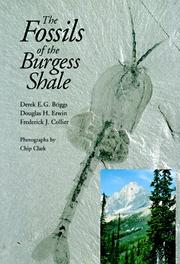 Cover of: The fossils of the Burgess Shale