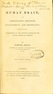 Cover of: The human brain by Samuel Solly