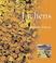 Cover of: Lichens