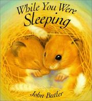 Cover of: While you were sleeping by Butler, John