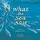 Cover of: What the sea saw