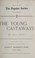 Cover of: The young castaways