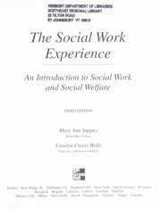 Cover of: The social work experience by Mary Ann Suppes