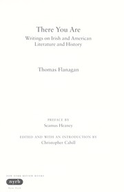 Cover of: There you are: writing on Irish and American literature and history