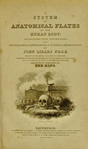 Cover of: A system of anatomical plates of the human body: accompanied with descriptions, and physiological, pathological & surgical observations