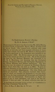 Cover of: On Euskelesaurus brownii (Huxley)