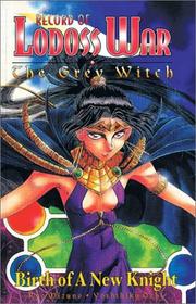 Birth of a New Knight (Record of Lodoss War: The Grey Witch, Vol. 2)