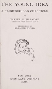 Cover of: The young idea by Parker Fillmore