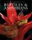 Cover of: Encyclopedia of reptiles & amphibians