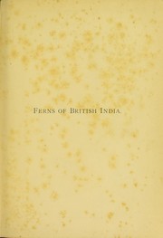 Cover of: Handbook to the ferns of British India, Ceylon and the Malay Peninsula