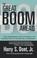 Cover of: The great boom ahead