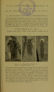 Cover of: Descriptions of Tertiary insects by Theodore Dru Alison Cockerell