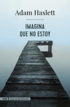 Cover of: Imagina que no estoy