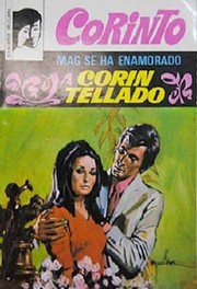 Cover of: Mag se ha enamorado