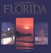 Cover of: Wild & scenic Florida: a photographic portfolio