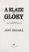 Cover of: A blaze of glory