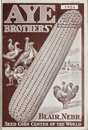 Aye Brothers [catalog] by Aye Brothers
