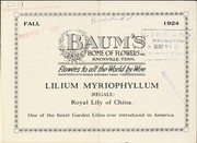 Cover of: Lilium myriophyllum (regale) royal lily of China by Baum's Home of Flowers