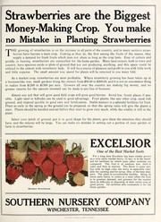 Strawberries are the biggest money-making crop by Southern Nursery Company