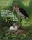 Cover of: Storks, Ibises and Spoonbills of the World