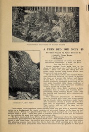 Cover of: A fern bed for only $5 [catalog] by Ferndale Nursery (Askov, Minn.)