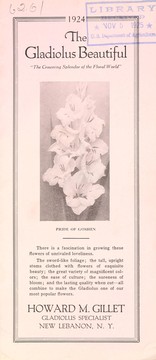 Cover of: The gladiolus beautiful: 1924