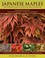 Cover of: Japanese maples